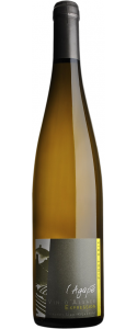 Pinot_Gris